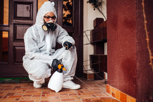 Reliable Wasp Removal contractor in Honokaa, HI by Show Me Pest Control